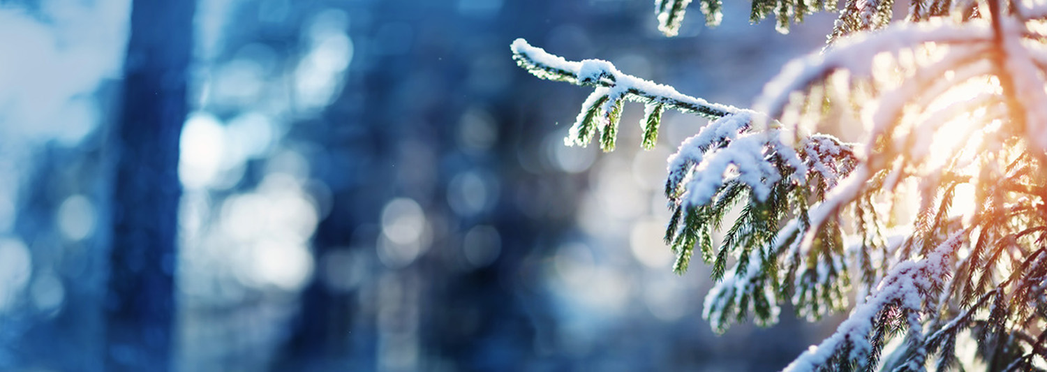 bild-familie-wohnen-baugenossenschaft-odenwaldring-weihnachtsgruss